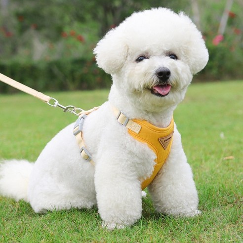 디아쿠아 강아지 고양이 겸용 바디핏 하네스